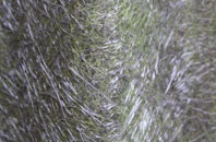 Sawdon fibreglass roof work